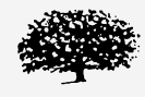 tree logo